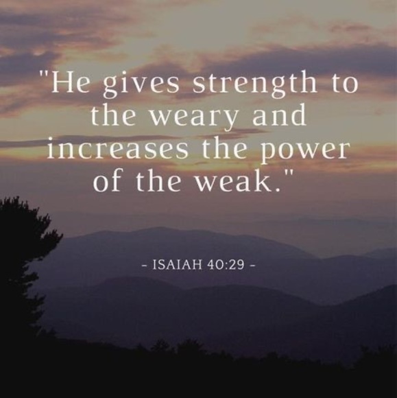 Meet your Posher, James - Picture 1 of 1